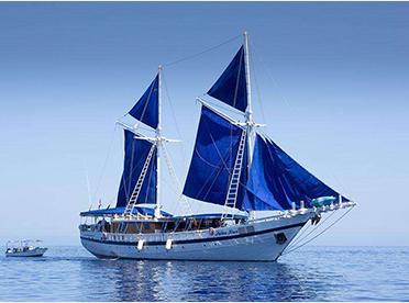 使压载水处理变得更轻松